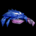 Blue Crab